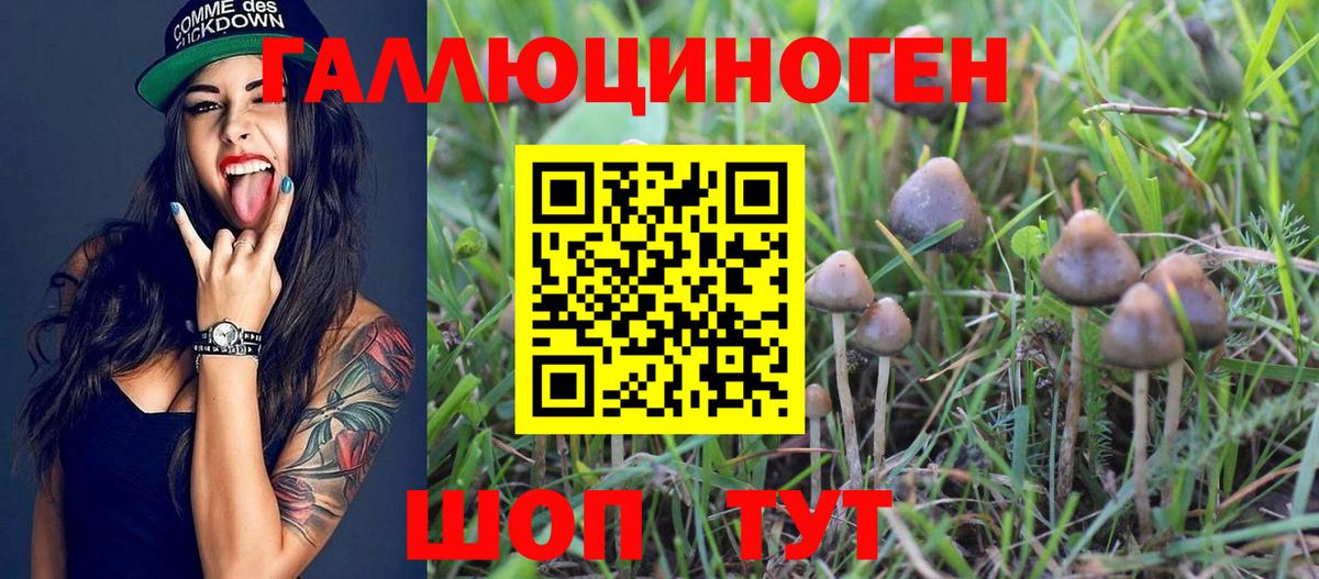 Алапаевск  Галлюциногенные грибы Psilocybine cubensis  Галлюциногенные грибы Magic Shrooms  Вход с VPN 