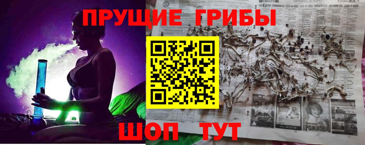 Галлюциногенные грибы Psilocybine cubensis Алапаевск